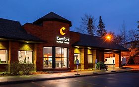 Comfort Hotel & Suites